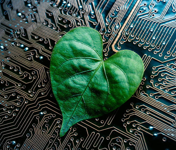 Challenges of Green Technology Adoption